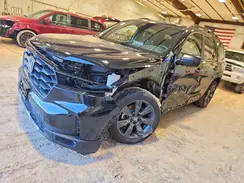 5FNYG1H36SB135958 2025 HONDA PILOT