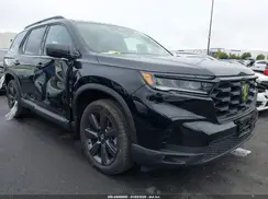 5FNYG1H36SB146281 2025 HONDA PILOT
