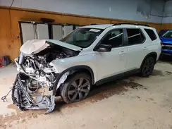 5FNYG1H37PB053213 2023 HONDA PILOT