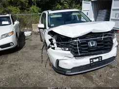 5FNYG1H40PB015296 2023 HONDA PILOT