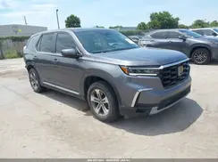5FNYG1H40RB008819 2024 HONDA PILOT