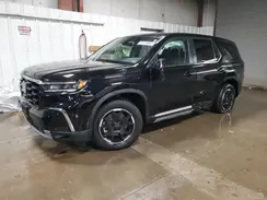5FNYG1H40SB071313 2025 HONDA PILOT