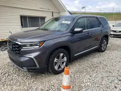 5FNYG1H41PB050607 2023 HONDA PILOT