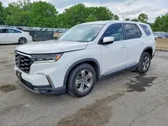5FNYG1H41RB004715 2024 HONDA PILOT