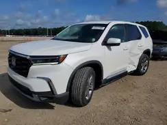 5FNYG1H41RB006528 2024 HONDA PILOT
