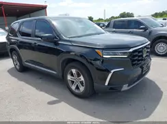5FNYG1H41RB013690 2024 HONDA PILOT