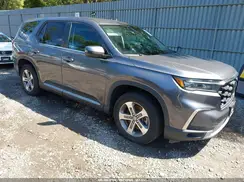 5FNYG1H41RB033079 2024 HONDA PILOT