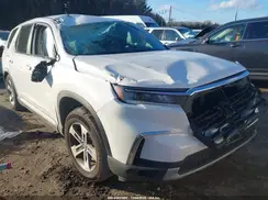 5FNYG1H41RB037133 2024 HONDA PILOT