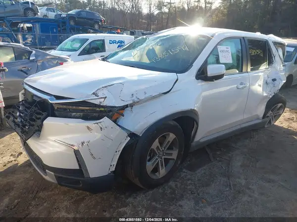 5FNYG1H41RB037133 2024 HONDA PILOT - Image 2
