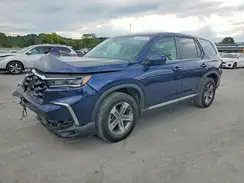 5FNYG1H42PB003392 2023 HONDA PILOT
