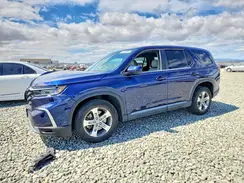 5FNYG1H42PB037798 2023 HONDA PILOT