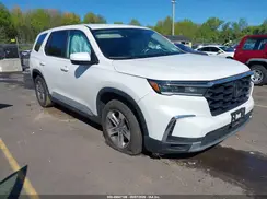 5FNYG1H42PB043407 2023 HONDA PILOT