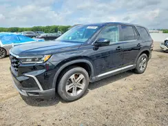 5FNYG1H42RB030370 2024 HONDA PILOT