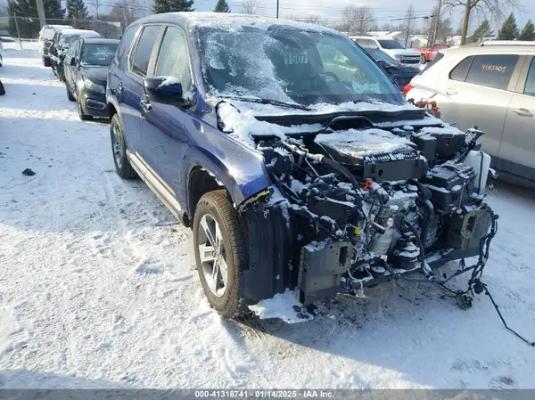 5FNYG1H42RB030708 2024 HONDA PILOT - Image 1