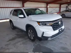 5FNYG1H42RB042258 2024 HONDA PILOT