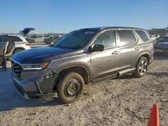 5FNYG1H42SB023358 2025 HONDA PILOT