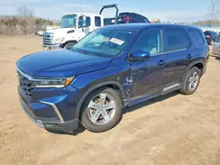 5FNYG1H42SB091384 2025 HONDA PILOT