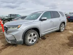 5FNYG1H42SB506669 2025 HONDA PILOT
