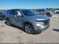 5FNYG1H43RB024383 2024 HONDA PILOT