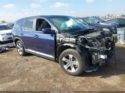 5FNYG1H43RB039885 2024 HONDA PILOT