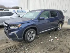 5FNYG1H43RB040972 2024 HONDA PILOT