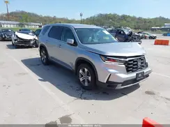 5FNYG1H44PB002731 2023 HONDA PILOT