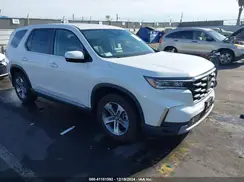 5FNYG1H44RB049177 2024 HONDA PILOT