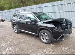 5FNYG1H44SB037391 2025 HONDA PILOT