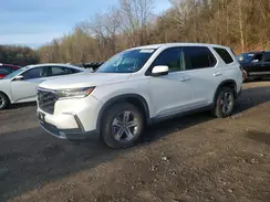5FNYG1H44SB066387 2025 HONDA PILOT