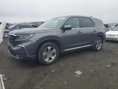 5FNYG1H45RB014972 2024 HONDA PILOT