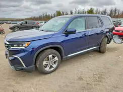 5FNYG1H45RB015586 2024 HONDA PILOT