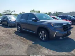 5FNYG1H45SB113006 2025 HONDA PILOT
