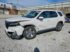5FNYG1H46PB013133 2023 HONDA PILOT
