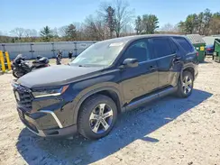 5FNYG1H46PB024231 2023 HONDA PILOT