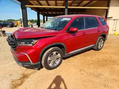 5FNYG1H46RB002636 2024 HONDA PILOT