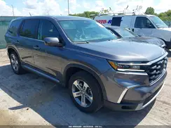 5FNYG1H46RB019744 2024 HONDA PILOT
