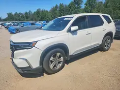 5FNYG1H46RB501940 2024 HONDA PILOT