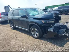 5FNYG1H46SB004795 2025 HONDA PILOT