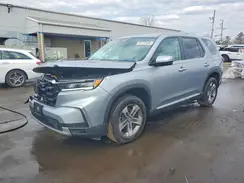 5FNYG1H46SB039224 2025 HONDA PILOT