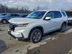 5FNYG1H46SB142787 2025 HONDA PILOT