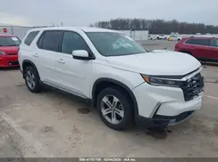 5FNYG1H47PB025968 2023 HONDA PILOT