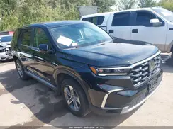 5FNYG1H47SB021198 2025 HONDA PILOT