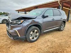 5FNYG1H47SB033500 2025 HONDA PILOT