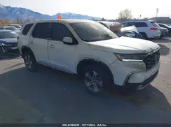 5FNYG1H48RB037145 2024 HONDA PILOT