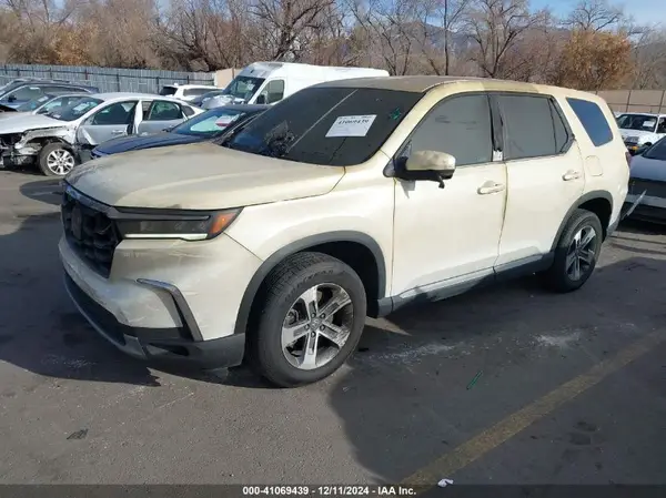 5FNYG1H48RB037145 2024 HONDA PILOT - Image 2