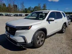 5FNYG1H48RB049179 2024 HONDA PILOT