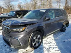 5FNYG1H48SB010243 2025 HONDA PILOT