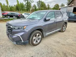 5FNYG1H48SB042481 2025 HONDA PILOT
