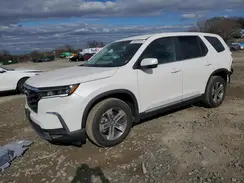 5FNYG1H49RB032097 2024 HONDA PILOT