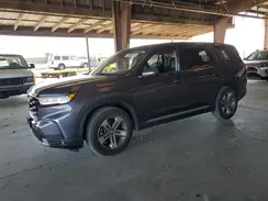 5FNYG1H49RB041110 2024 HONDA PILOT